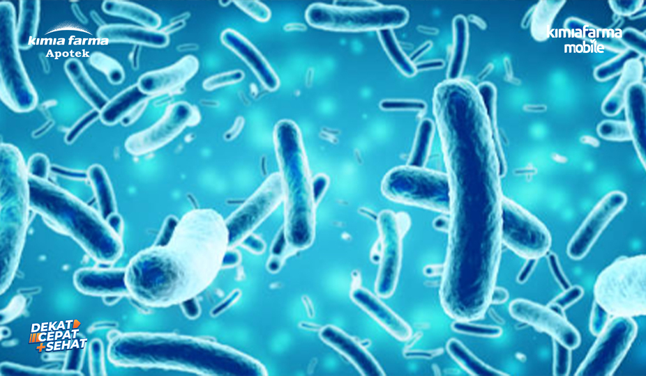 You are currently viewing Ketahui Penyebab Infeksi Salmonella & Cara Menghindarinya