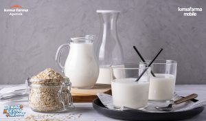 Read more about the article Beda Lactose Intolerance dan Alergi Susu Sapi